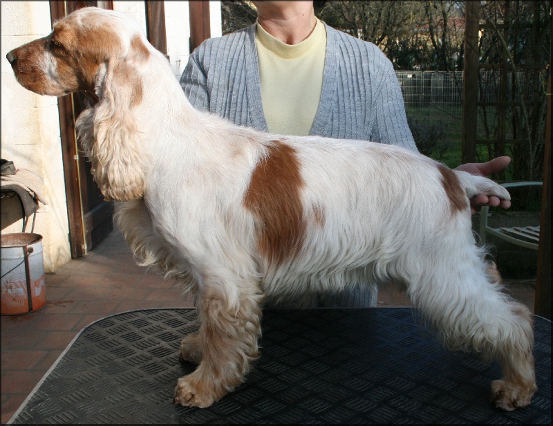 Byzance de l'Isle aux Lutins