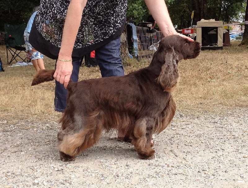 Ferview de l'Isle aux Lutins
