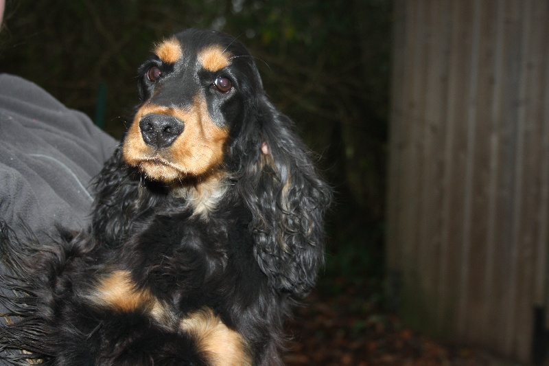 Lady de l'Isle aux Lutins